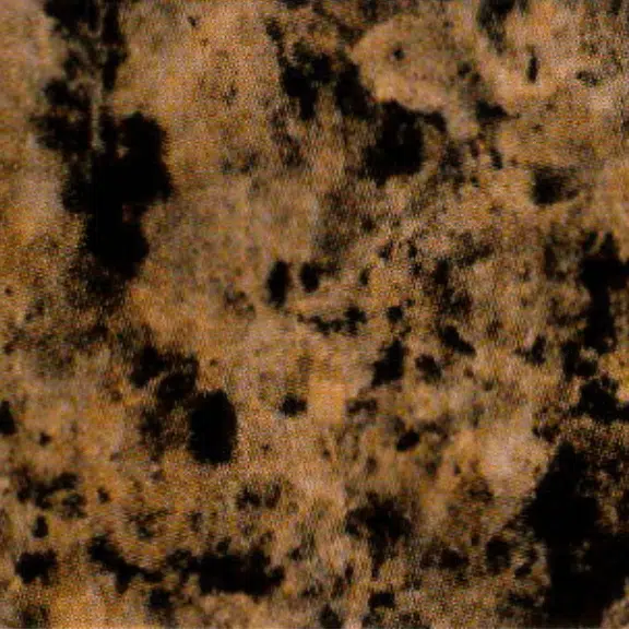 qs-3302-giallo-granite