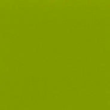 qs-3383-light-green-glossy