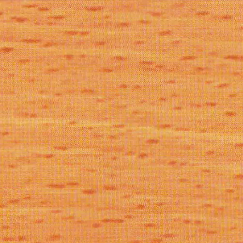 qs-5103-savin-golden